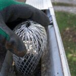 hand in gutter