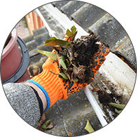 leaves in gutter