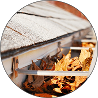 leaves in the gutter