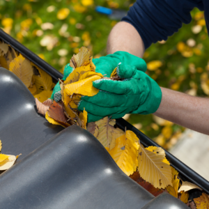 Person cleaning leaves out of their gutter