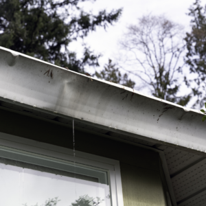 leaking gutter