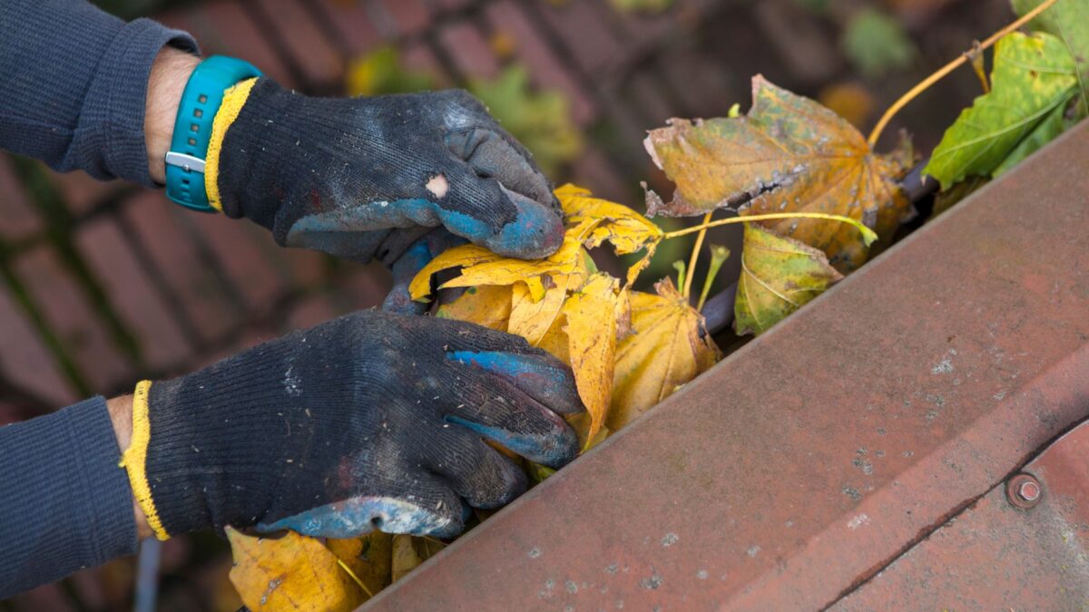 gutter clogged with leaves