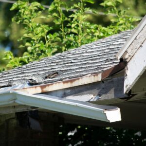 water damage gutter and roof