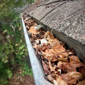 gutter clogged with leaves