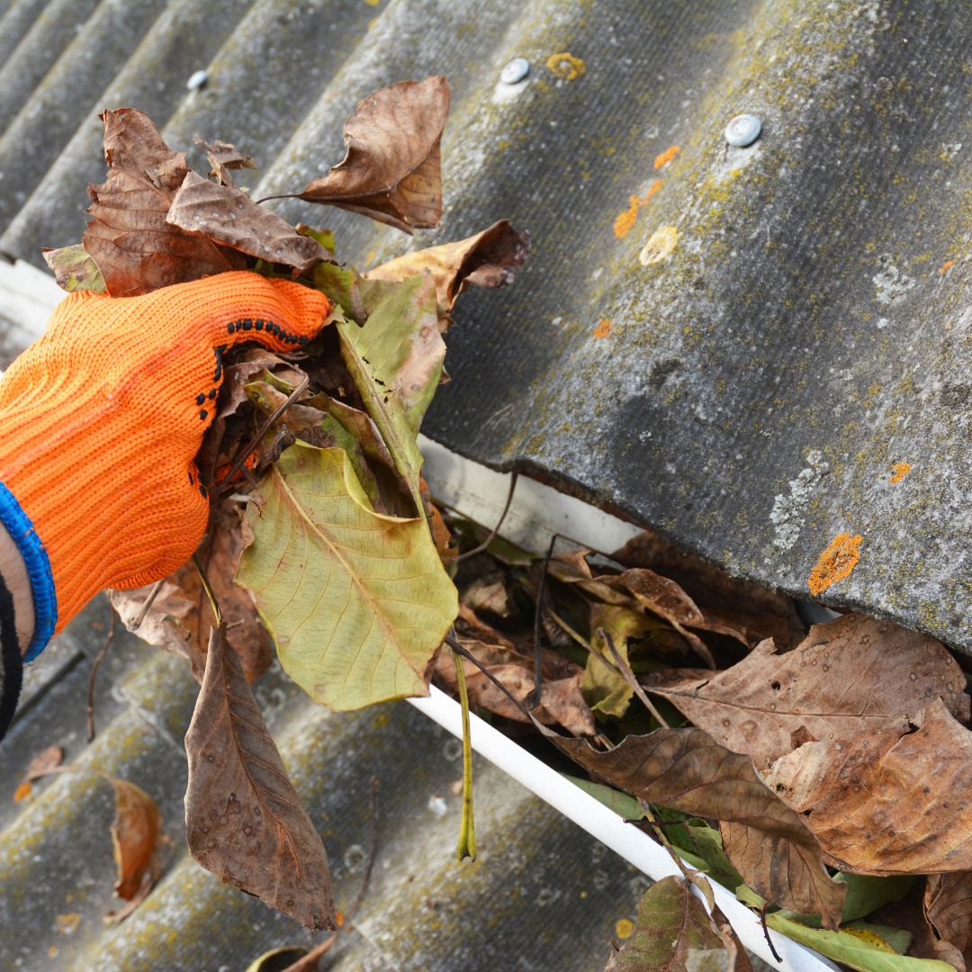 cleaning out leaves in a gutter